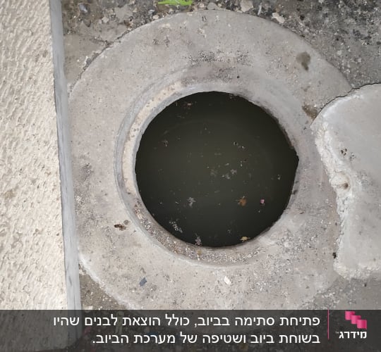 פתח ביוב עגול עם מים עומדים